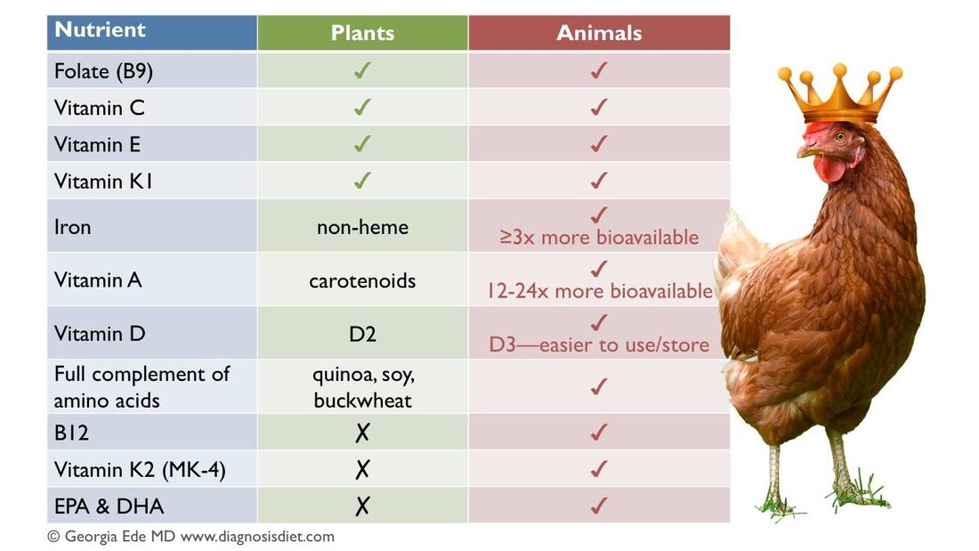 Nutrients - Plant vs Animal Sources